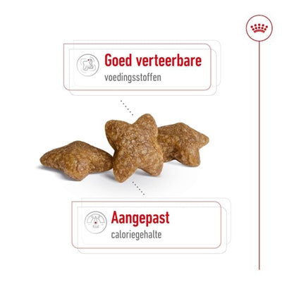 Royal Canin Mini Adult 2 kg | 4 kg | 8 kg
